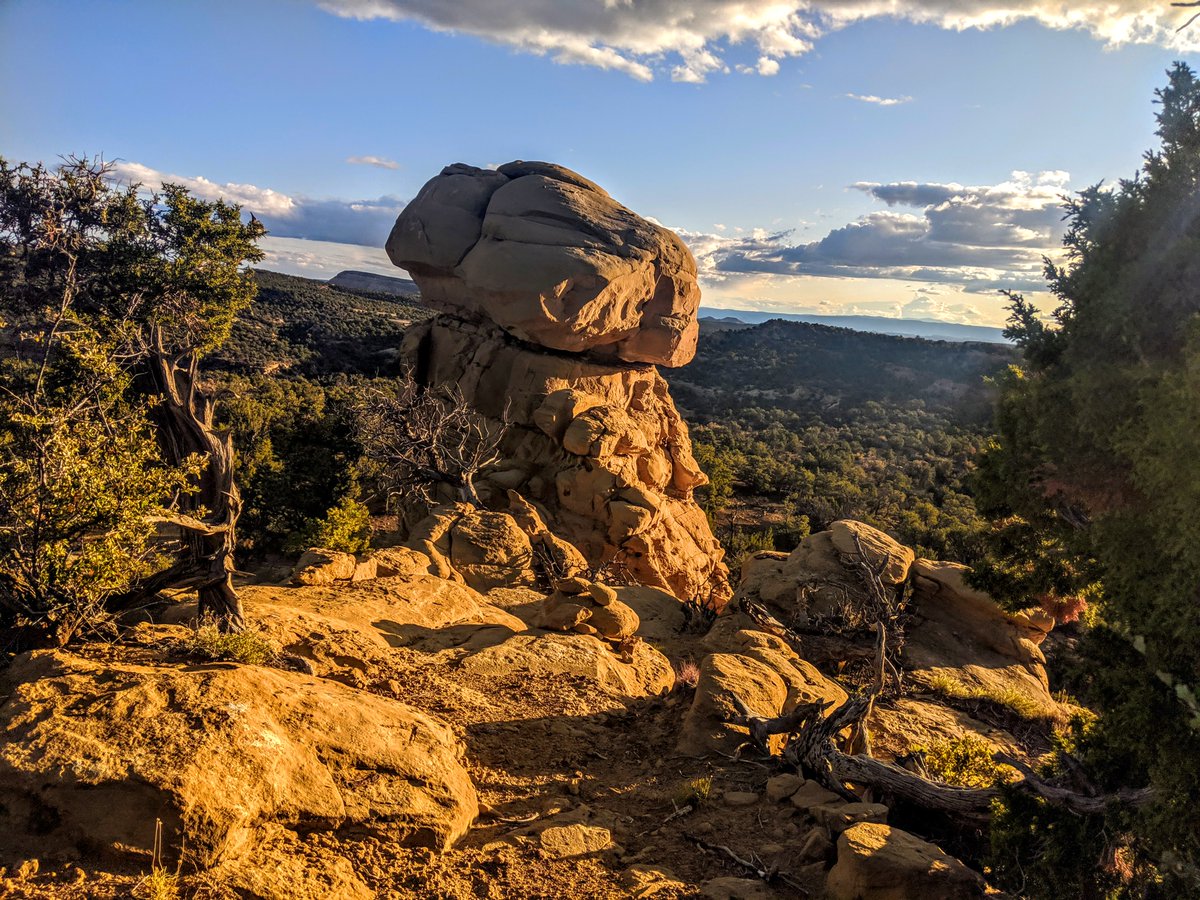 Continental Divide Trail Coalition tweet media