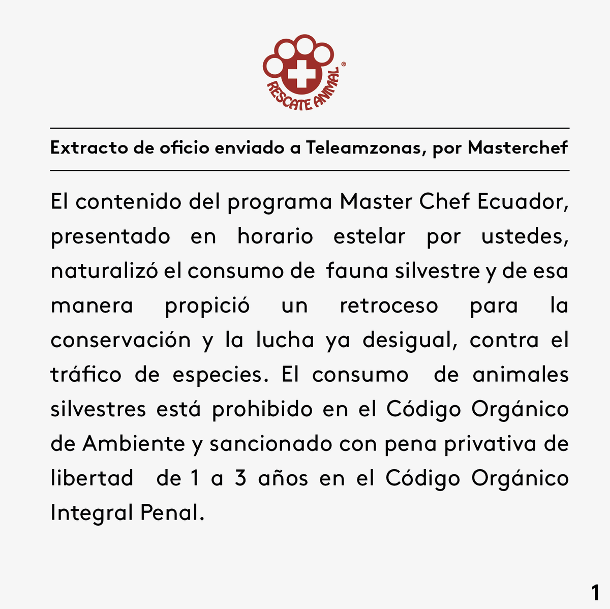 RescateAnimalEC's tweet photo. Ambientalistas y animalistas de todo el Ecuador enviamos oficio a @teleamazonasec para exponer nuestra postura, acciones a tomar y les planteamos 3 medidas de reparación por el daño cometido, al usar fauna silvestre, durante @masterchefecu #MasterTráfico #TeleamazonasDiscúlpate https://t.co/EcRhKm11W0