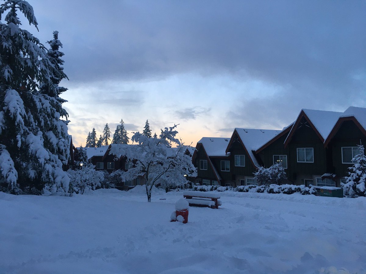 CarrierJiang's tweet photo. Too much snow for this winter. https://t.co/KBULAFAXeZ