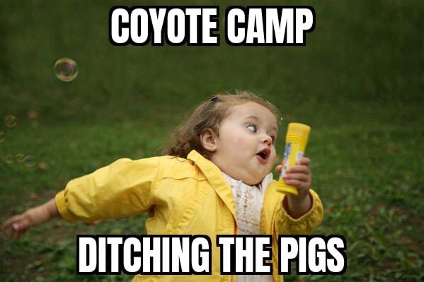 Gidimt’en Checkpoint tweet media