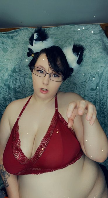 Would you pet me? If you would retweet! https://t.co/bnaoOkit0M<a href="/tag/newprofilepic"class="tags"><span>#newprofilepic</span></a>