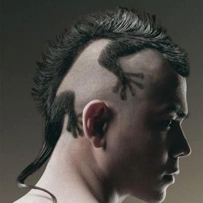 Webber_xplr's tweet photo. @Quackity @quackity4k get this hair cut #Quackity #quackityhair https://t.co/8CLuVIi1gA