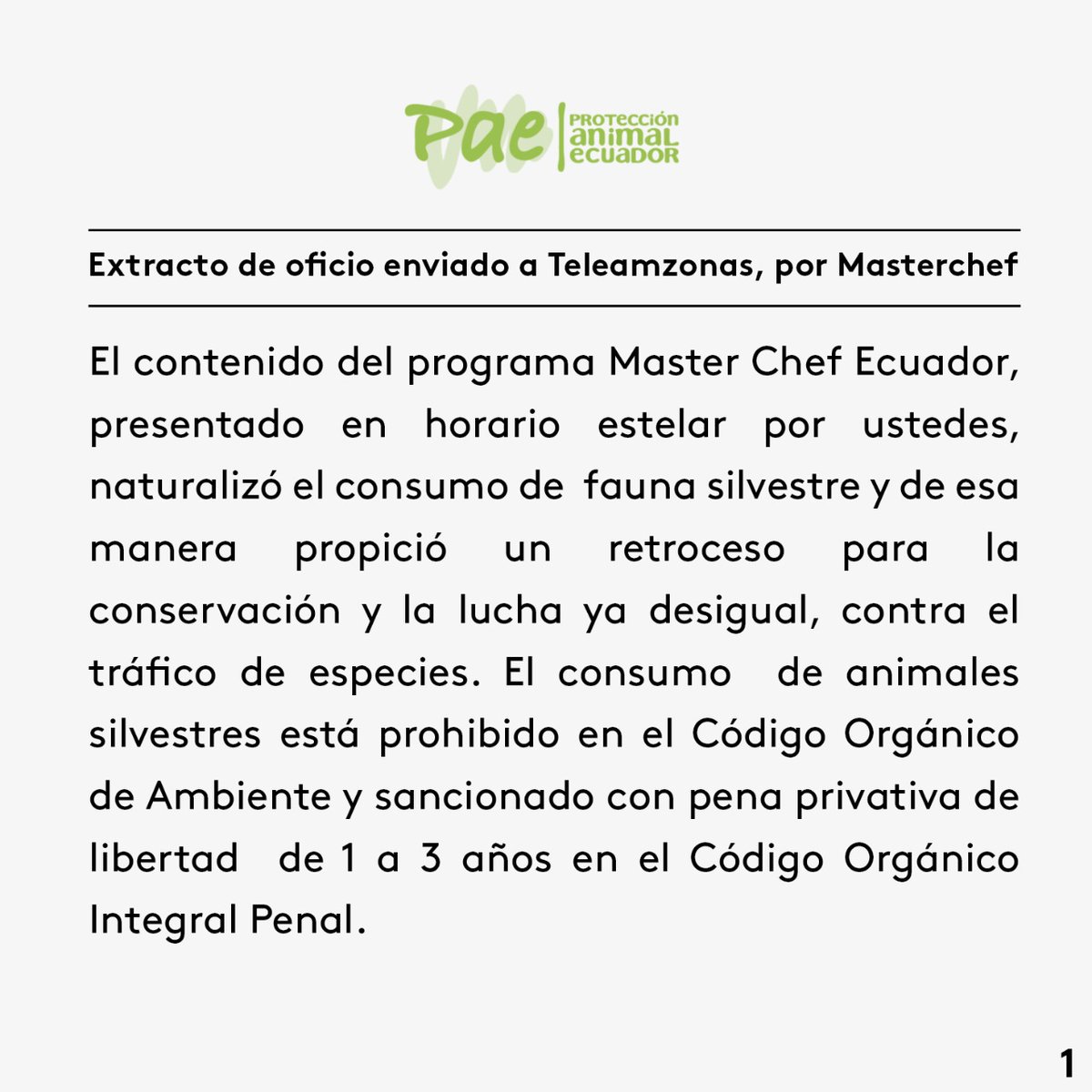 PAEecuador's tweet photo. 🔴 La petición que hacemos a @teleamazonasec y @masterchefecu es simple. Editar el episodio no sirve de nada si no hay reparación del daño #TeleamazonasDisculpate #MasterTrafico
@WCSEcuador @VivariumQuito @BioparqueAmaru @QuitoSinMineria @XREcuador @DDHH_Alianza @Zoo_Quito https://t.co/LqQFOmByT6