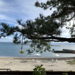 温泉宅配のツイート画像
