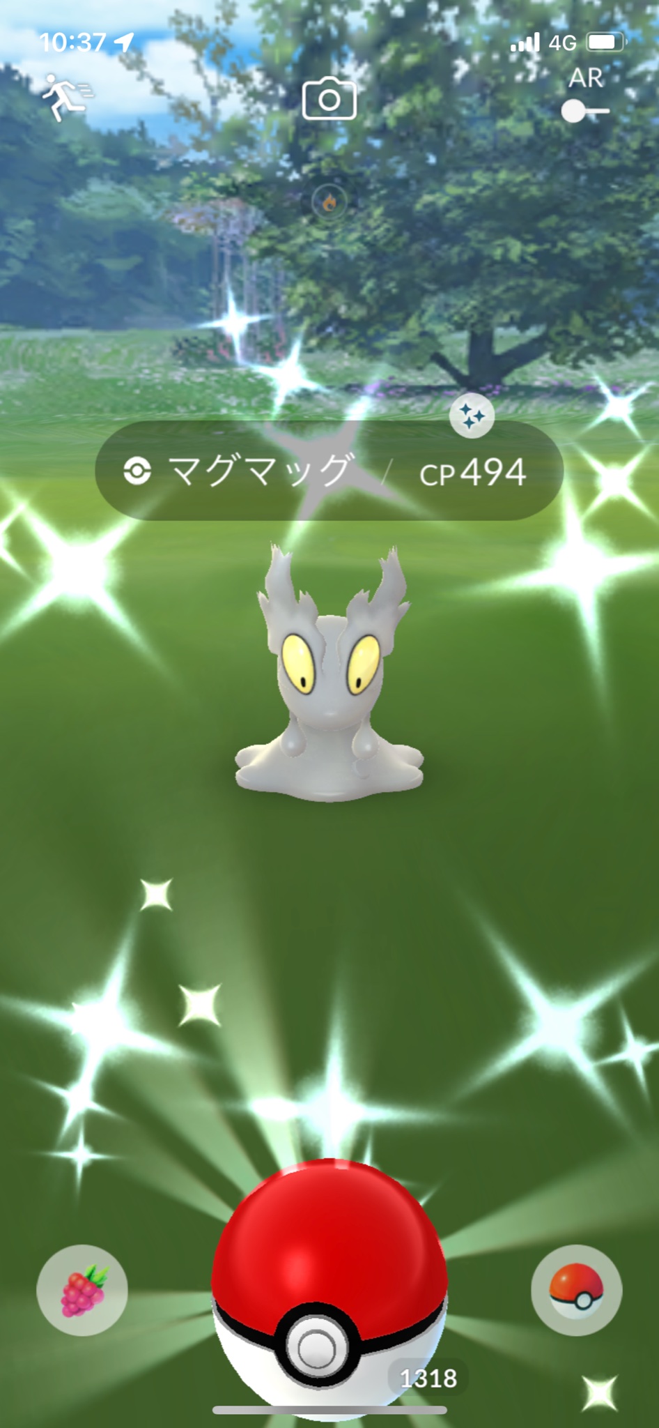 マグマッグ Twitter Search Twitter