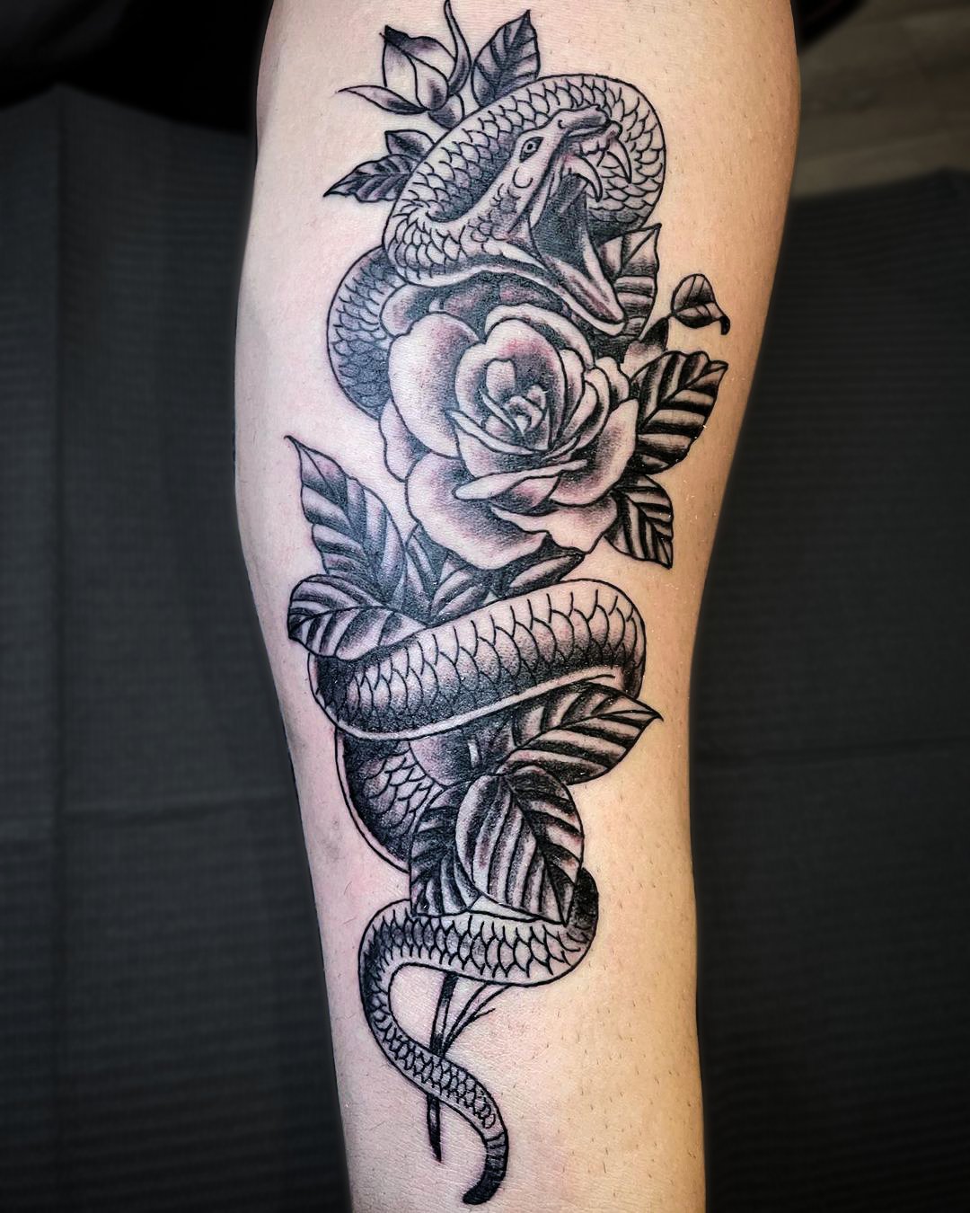 Tattoo with rose and snake traditional black Vector Image #7 Tattoo with rose and snake traditional black Vector Image