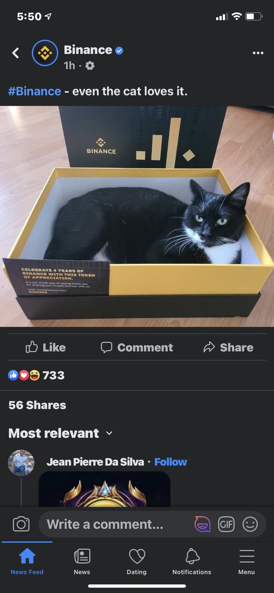 RiseCate's tweet photo. Why has binance been posting so many cats??

#catecoin
#cate
#catecoinarmy
@catecoin https://t.co/1UUicJkOFl