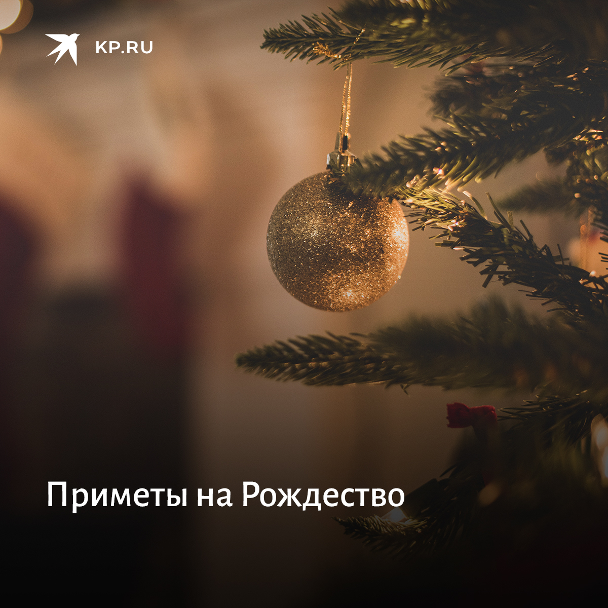 Рождество отмечают представители всех христианских конфессий. Рассказываем о народных приметах на католическое и православное Рождество, а также о том, что можно и что нельзя делать 7 января 2022 года: kp.ru/putevoditel/ka…