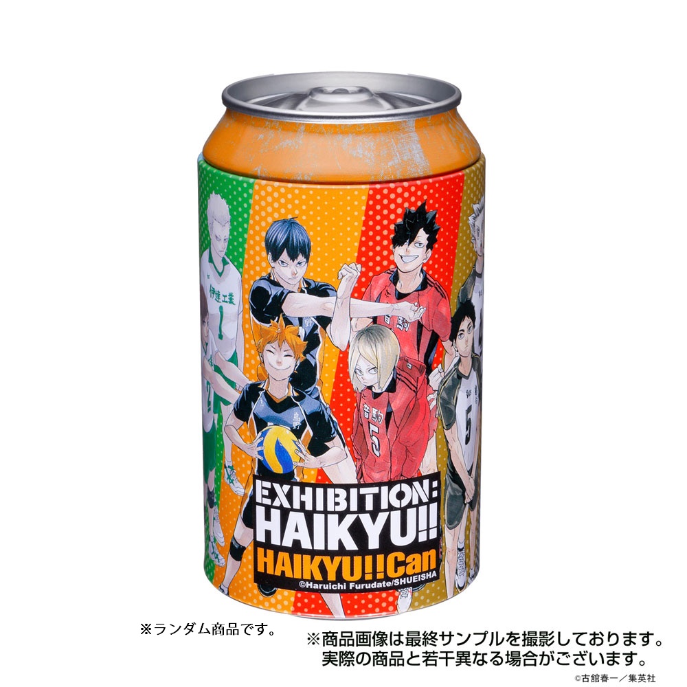 ハイキュー グッズ 売ってる場所 コミックス全巻ピンズセット