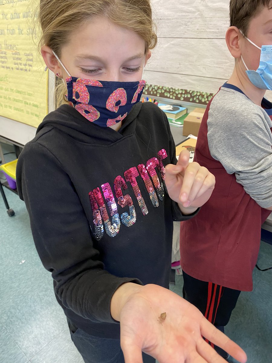 MrsKeady's tweet photo. Thank you, @kpimental19 for making our kids so happy with our class pets! Tiniest snails ever! #wbwildcats https://t.co/AB5Zs6gU12