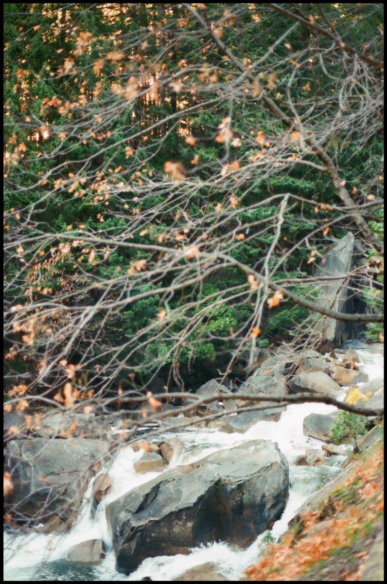 tfvni's tweet photo. Yosemite in the fall 🍂 #filmphotography #35mm https://t.co/6obhpUdrSV