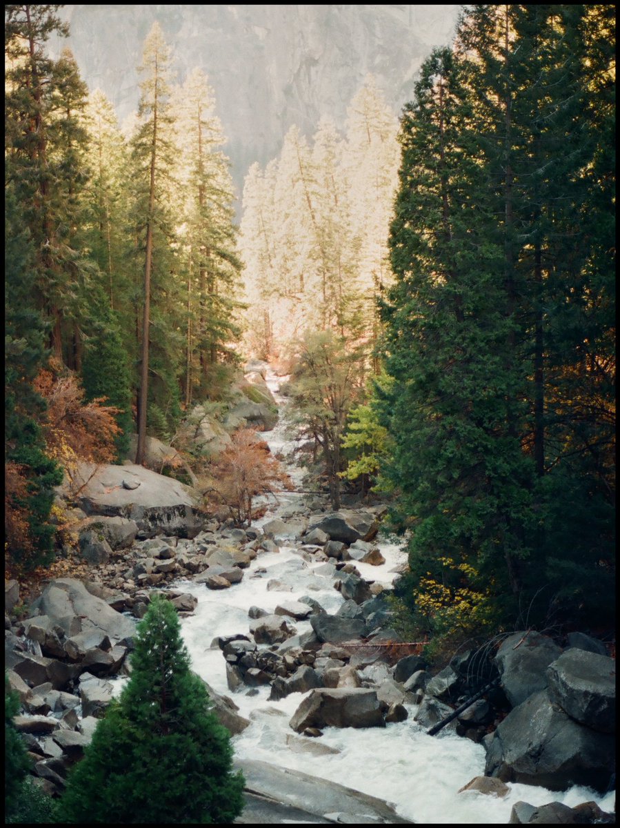 tfvni's tweet photo. Yosemite in the fall 🍂 #filmphotography #35mm https://t.co/6obhpUdrSV