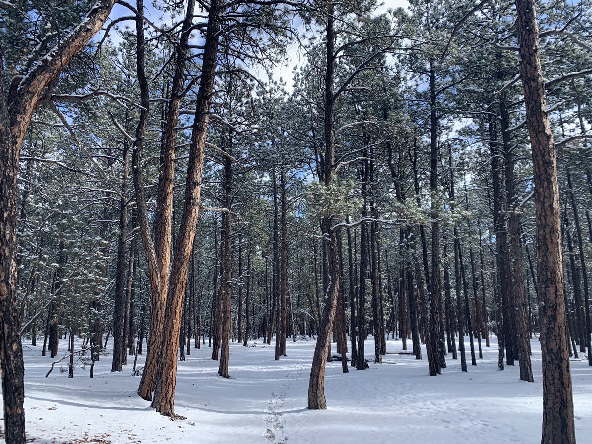 antelope_dan's tweet photo. And when I stay too long, I went outside and stared - arms outstretched and long, moved straight across the sky #timeturnselastic #redfoxtrail https://t.co/87yDGa6QoW