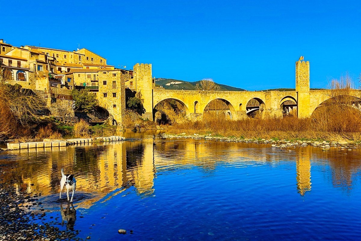 "The purpose of life is to live it, to taste experience to the utmost, to reach out eagerly and without fear for newer and richer experience." -Eleanor Roosevelt
It’s Friday,  let's make it great 💛!

#dogsoftwitter #FridayMotivation #thoughts #photography #nature 
<a href="/StormHour/">#StormHour</a>