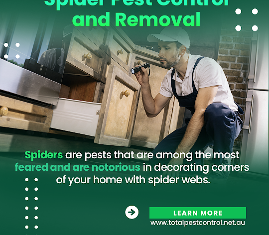 total_pest's tweet photo. Rat Pest Control and Removal Shepparton https://t.co/tLIkYR14fB #RatPestControl #PrePurchasePestInspections #TotalPestControlShepparton #PestControlShepparton #TermiteControlBendigo #RodentsPestManagementShepparton #PestManagementBendigo #PestControlBendigo #PestControlServices https://t.co/rLAYIZ4PaT