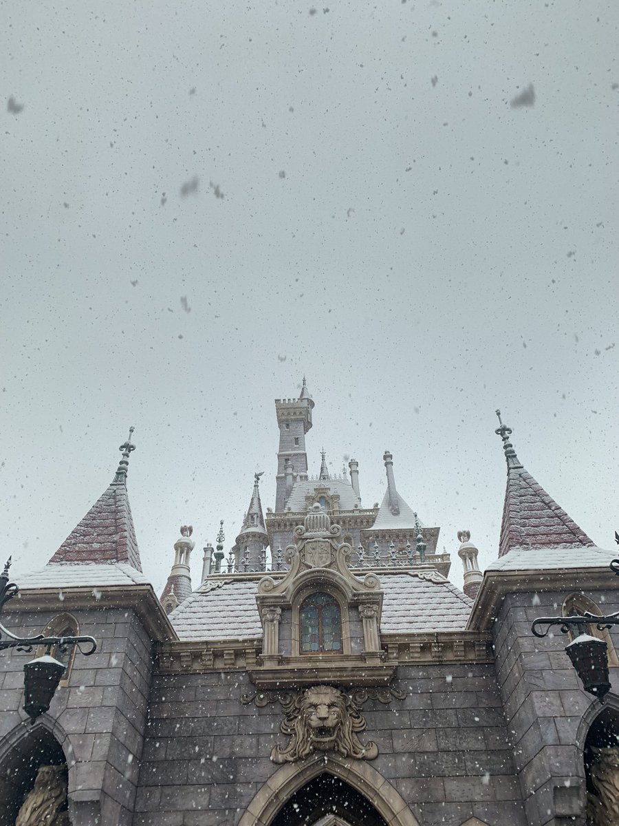 Traaaveler73's tweet photo. @東京ディズニーランド🏰

久々の投稿‼︎と思ったら…
前回もディズニーだった🤣

昨日のディズニーは雪☃️❄️
美��と野獣エリアが幻想的でした🤍

でもめちゃ寒…🥶

#東京ディズニーランド
#大雪 https://t.co/2HZW7njcdR