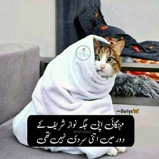 Such ky rhi hon na 😁