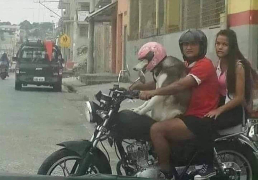 آدما‌ همیشه از چیزی ک خیلی دوسش دارن محافضت میکنن :)))))