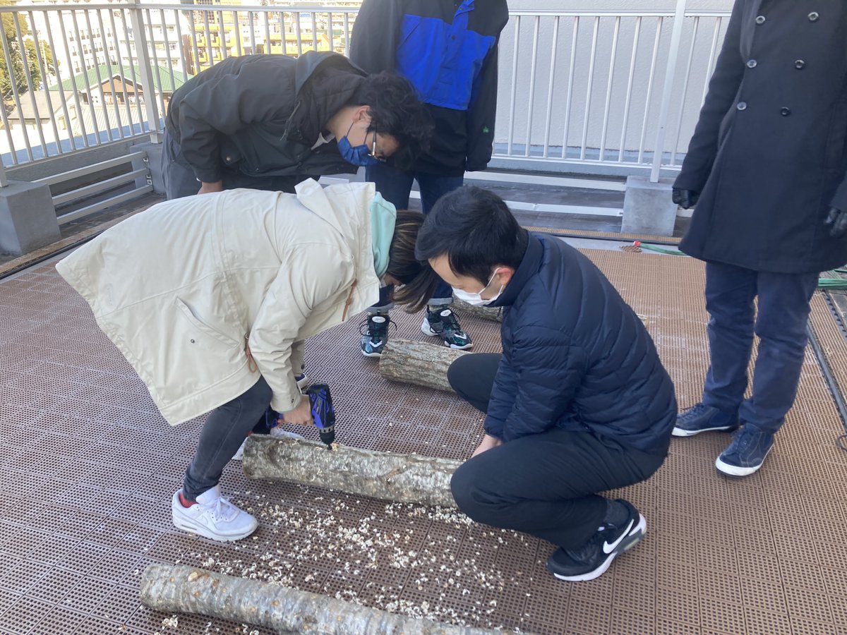 clearwater_prj's tweet photo. キノコの原木栽培をやってみたい！
本日はその第一弾の駒打ち。原木に穴を開けて、キノコの菌を打ち込みました。
しばらくしたら、現在開拓中の森に持っていく予定です。
（堀川）

#豊田支社開拓 
#社内コミュニケーション https://t.co/sDYmgNfEWG