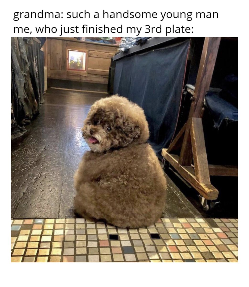 WholesomeMeme's tweet photo. https://t.co/X4T5q9L7E9