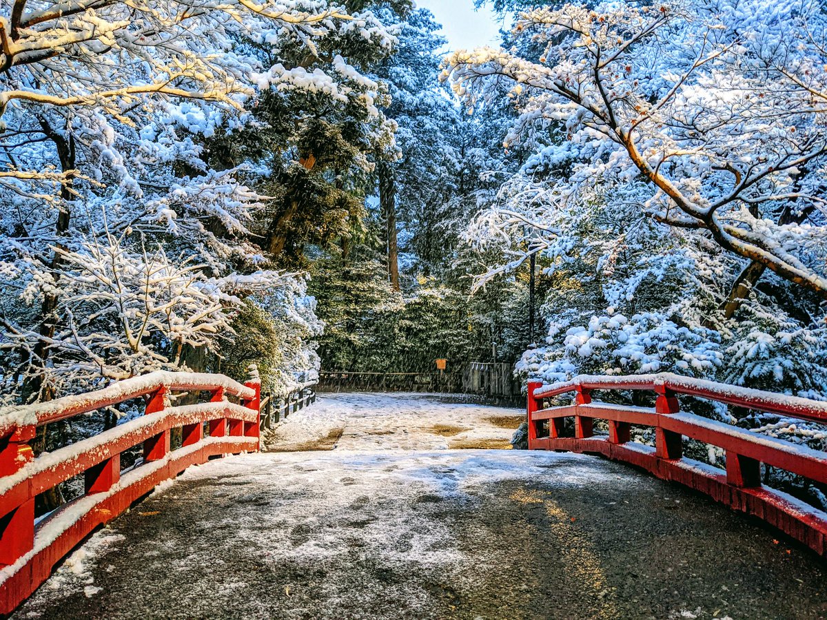 LaImaiMessina's tweet photo. Esiste in giapponese una parola che racconta il piacere di contemplare la neve (yukimi 雪見). Credo di amare moltissimo questa lingua proprio per la sua predisposizione a dare alle cose piccole e belle un nome, parole a fenomeni che risultano dettagli secondari in altre lingue. https://t.co/8GlCGH1019