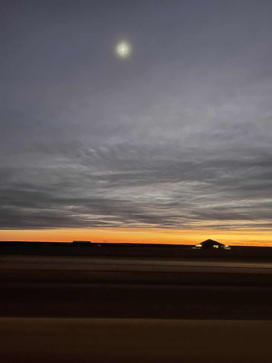 Matt Perron tweet media