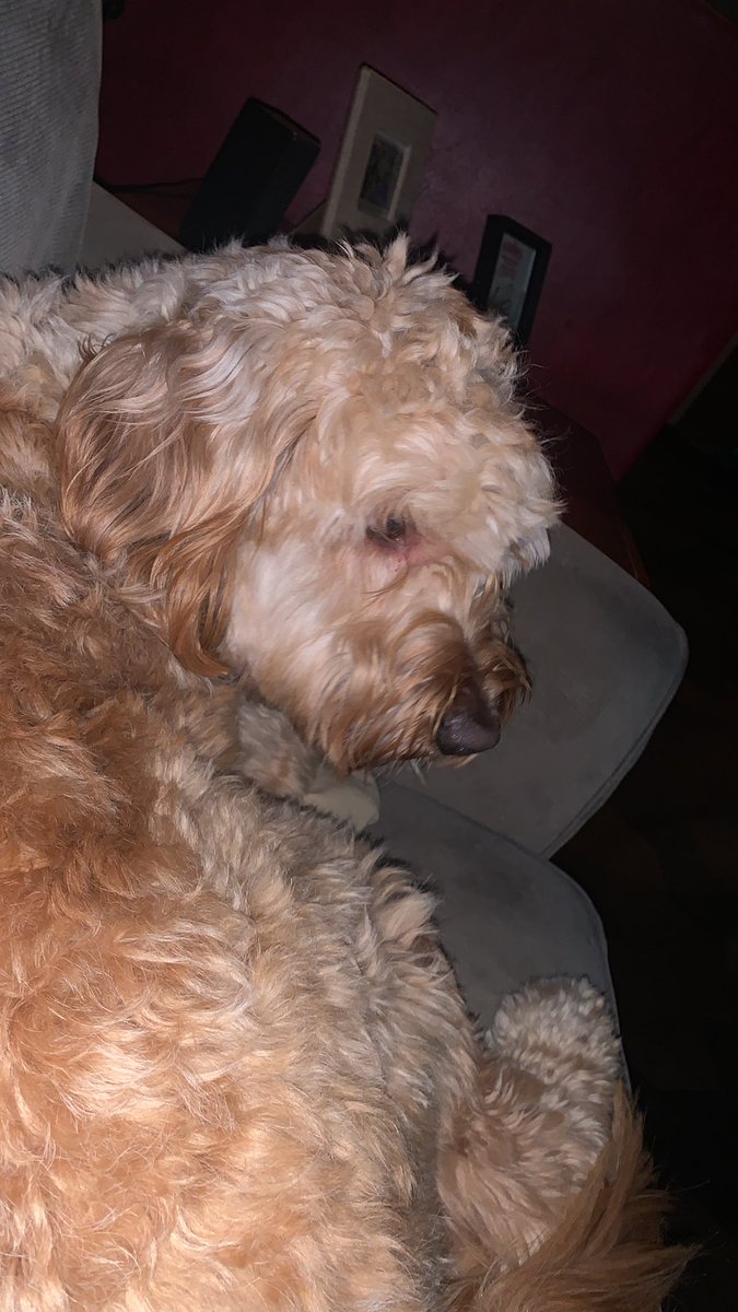 #PMShappybirthdayajhawk THANK YEW AJ 🤟🤟🤟