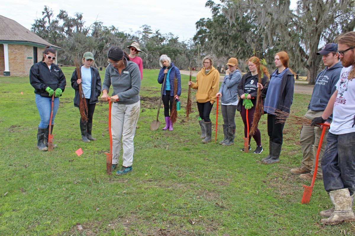 LAStateParks's tweet photo. Volunteers planted more than 400 cypress ๐ณseedlings at Fontainebleau State Park in Mandeville today as part of a continued reforestation effort in the parkโฆRead more https://t.co/FUWSupoMdq
#VoluneteerLouisiana
#LaStateParks https://t.co/mKsI3JoF5E