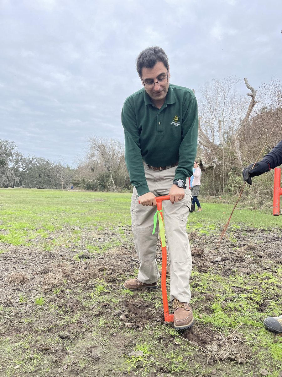LAStateParks's tweet photo. Volunteers planted more than 400 cypress ๐ณseedlings at Fontainebleau State Park in Mandeville today as part of a continued reforestation effort in the parkโฆRead more https://t.co/FUWSupoMdq
#VoluneteerLouisiana
#LaStateParks https://t.co/mKsI3JoF5E
