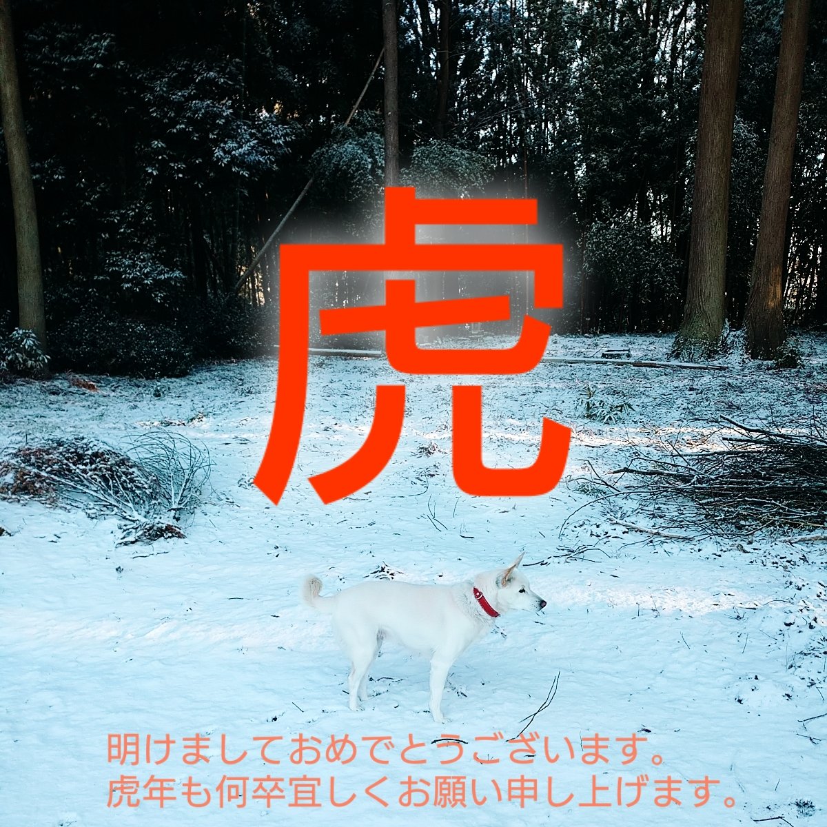 【開店情報】

2022/1/9(日)
だいたい12時～16時

シルクスイート

場所は大田原市寒井、
県道34号線(旧294号)沿い
セブンイレブンのある通り。

赤いのぼりを目印にお願いします 。