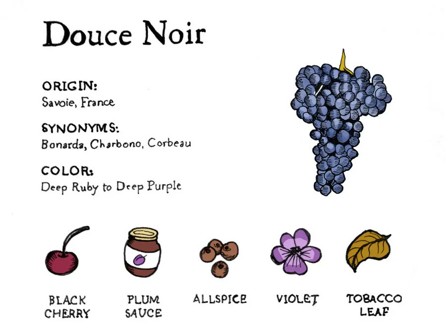 Wine Folly tweet media