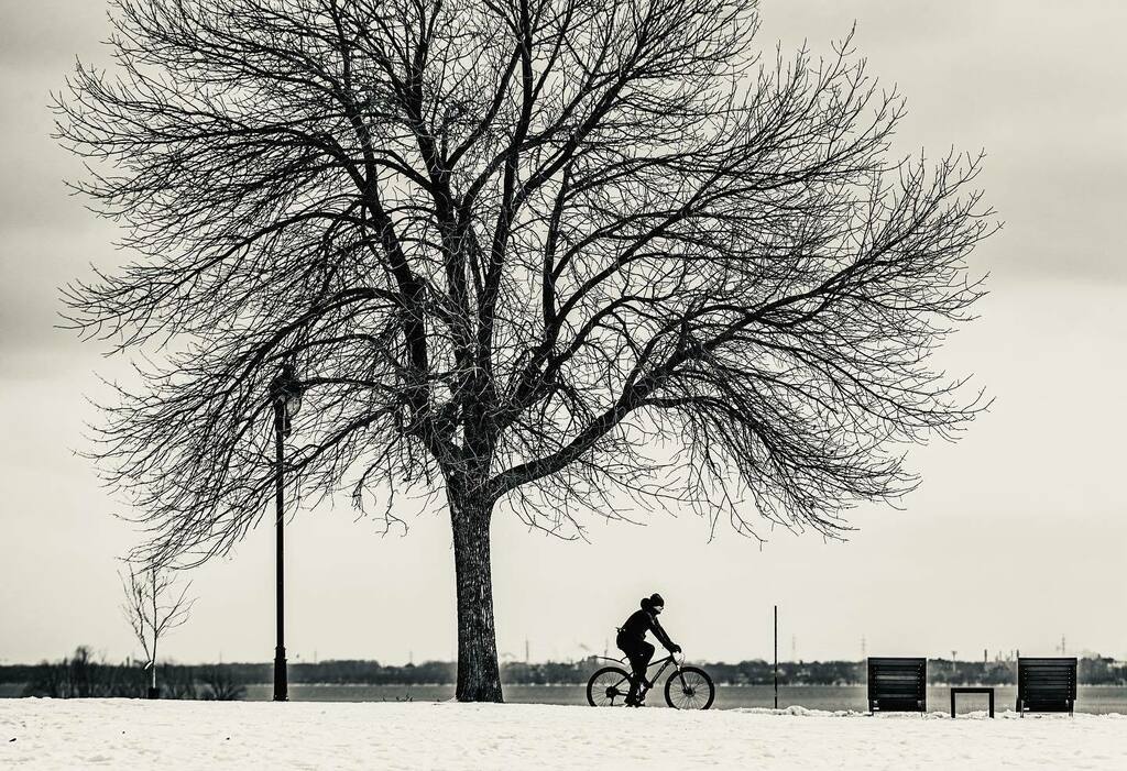 dsidaway's tweet photo. Christian Ruel didn’t let the chilly -2 celcius air stop him from riding along the Verdun waterfront. #montreal #bnw_quebec #cycling https://t.co/PvlSxafSCn https://t.co/doT5mnKIuP