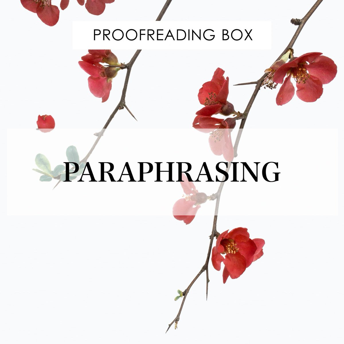 proofreadingbox tweet picture
