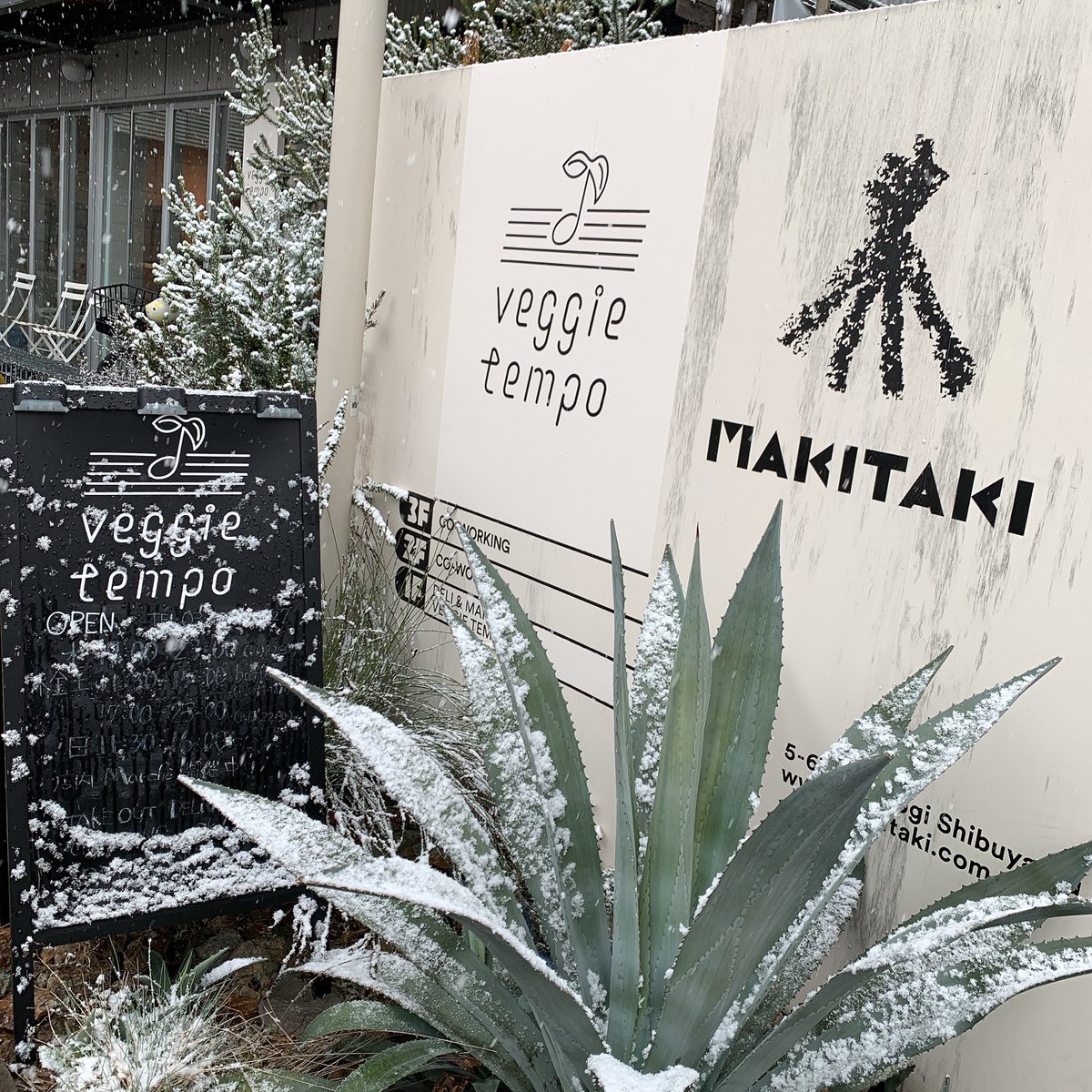 皆様お久しぶりです✨
veggietempo ツイッター復活でございます🕊

お店やマルシェはもちろん、様々な最新情報を発信して行ければと思います。
お久しぶりな方も、初めましての方も…
改めましてveggietempoをよろしくお願いします🙇

#veggietempo #ベジーテンポ