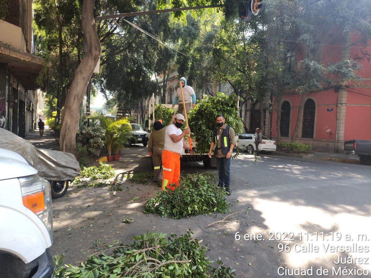 AlcCuauhtemocMx's tweet photo. Continuamos mejorando los #EspaciosPúblicos de nuestra demarcación, realizamos:
✅Corte y desyerbe en diagonal 20 de noviembre 
✅Mantenimiento a luminarias en las calles #DrAndrade y #DrOlvera https://t.co/ltt5SGJyFP