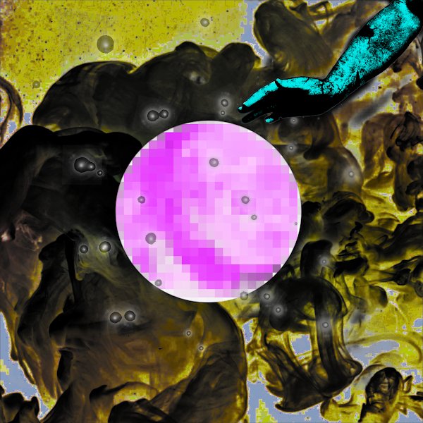 ZED PAGES tweet media