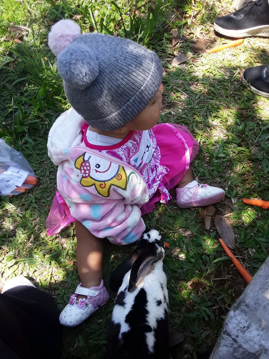 jiewoo's tweet image. 😁🐰🐇🐾🥕