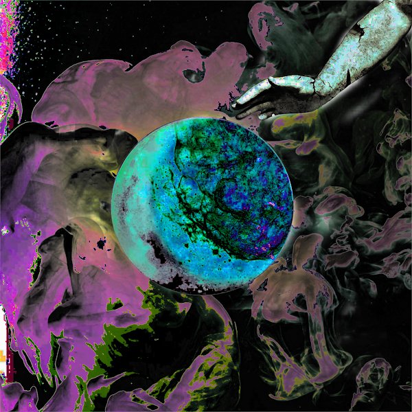 ZED PAGES tweet media