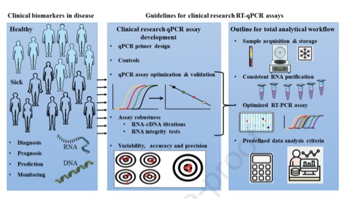 Check out our <a href="/cost17129/">COST17129</a>  WG2 lead manuscript 'Consensus guidelines for the validation of quantitative RT-qPCR assays in clinical research by the CardioRNA consortium' out now in <a href="/MolTherapy/">Molecular Therapy</a> . cell.com/molecular-ther…