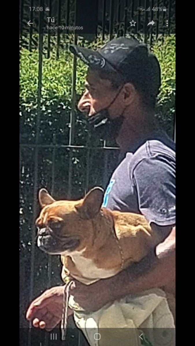Lin91965's tweet photo. Se robaron a Simona

Requiere de atención médica diaria 

Rt hasta encontrarla !!

Vamos por SIMONA !!

@Minterioruy 
@perros_uy https://t.co/r0V1r4fTD8