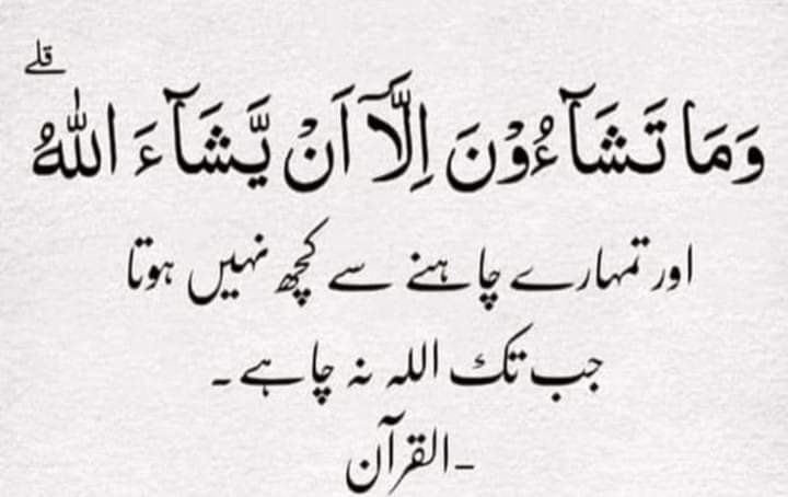 THIS
