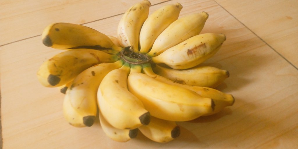 AnodMutekaniza's tweet photo. How do you call it in your local language? Mine is akasukalindizi #Runyoro https://t.co/O7zr70poYi