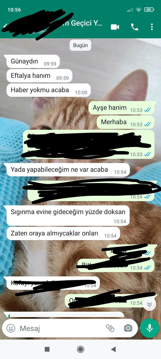 eftalyasener's tweet photo. ARKADASLAR LUTFEN COK ACİL İLAN. BU COCUKLARİN SAHİBİ ESİNDEN SİDDET GÖRÜYOR SİGİNMA EVİNE GİDECEK COCUKLAR YA SOKAGA YA BARİNAGA BİRAKİLACAK BİRLİKTE YA DA AYRİ AYRİ YUVA ARİYORUM İSTANBUL BAHCELİEVLER ULASİM SAGLANİR 05536245757 https://t.co/voMRb96808
