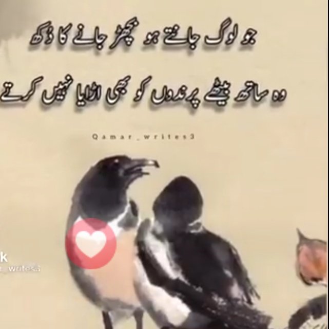 🌹🌹💞💞💞💕💕انابیہ 💞💞💞🌹 (@786anb) on Twitter photo 