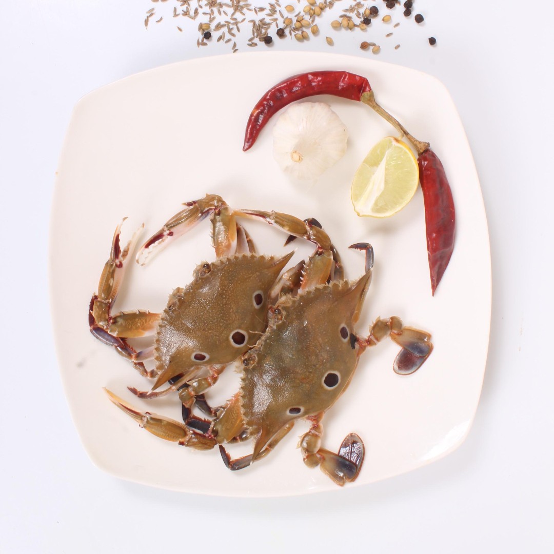 fishcutsin's tweet photo. CRABTASTIC CRAZINESS !!!

https://t.co/BBk3zvK88Y

Order : 98402 22223

Visit: 22E/14A, Ground Floor Sannathi Street, Jawaharlal Nehru Rd, Tharamani, Chennai, Tamil Nadu 600113.

#fishcuts #fresh #seafood #order #bestprice #3spotcrab #crab #crabs #homedelivery #dunzo #swiggy https://t.co/xypHayuhvu