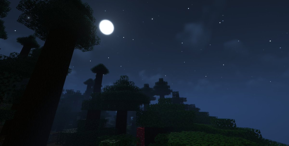 evariim's tweet photo. a beautiful night 💜
#Minecraft #aesthetic https://t.co/vIY4e6EZyN