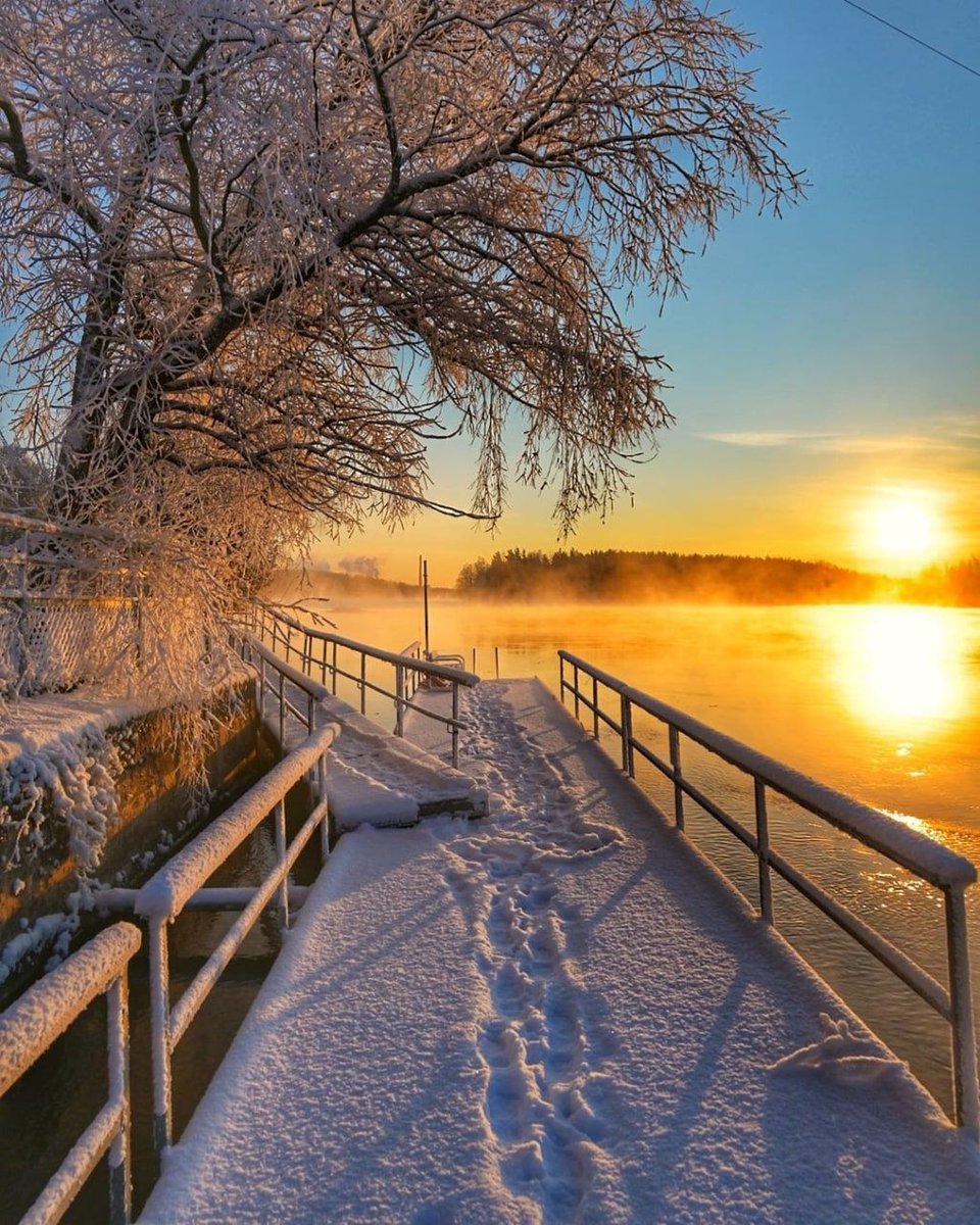 xetra_a's tweet photo. https://t.co/KX2rpkWFg8