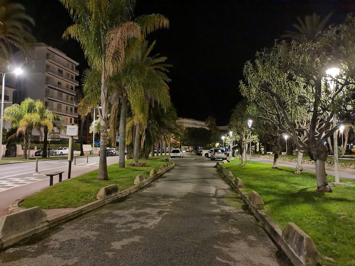 Michel de Cannes tweet media