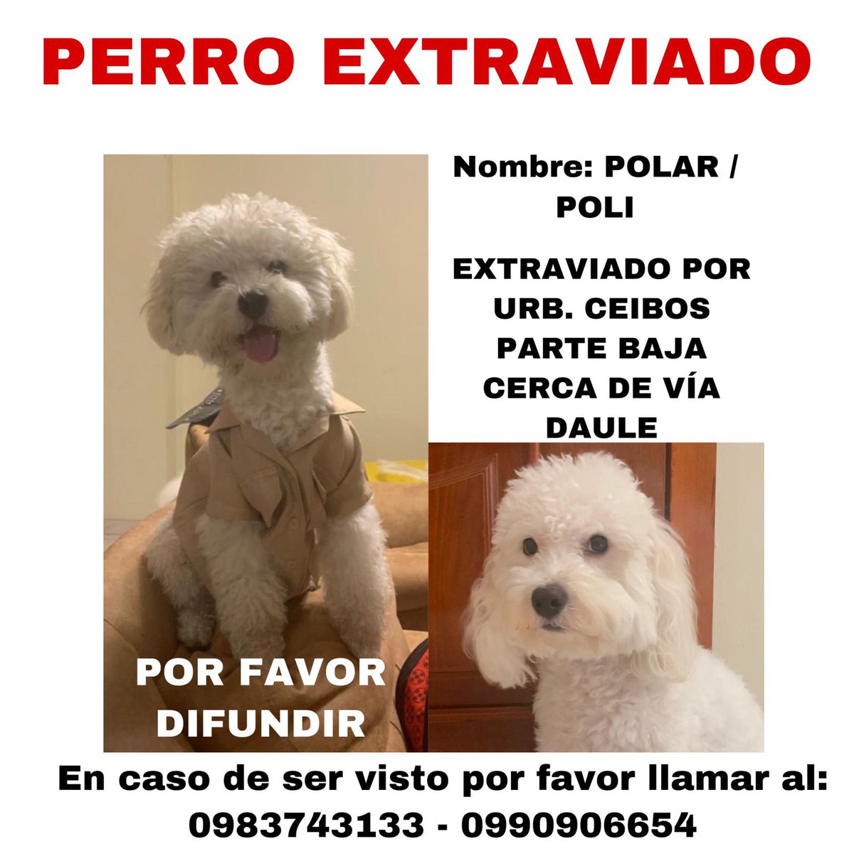 cristyaguileram's tweet photo. POR FAVOR RT AYÚDENME @AlertaMePerdi !!!! https://t.co/SI9GPZlaL6