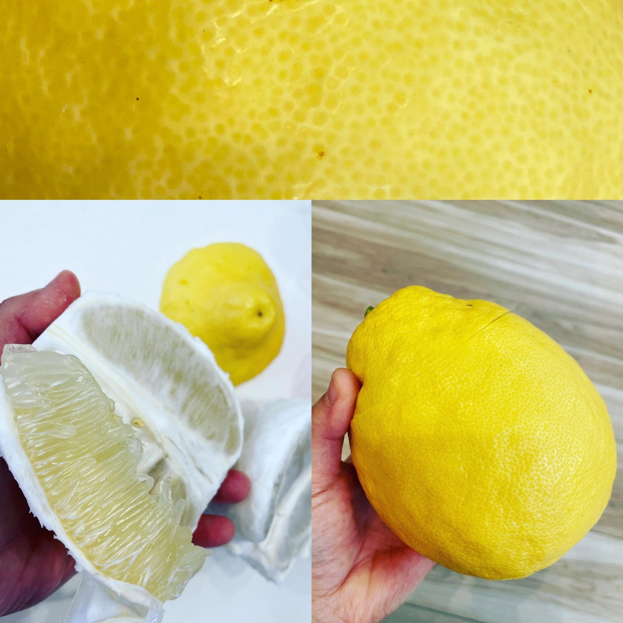 台所実験家 さっきぃ ジャンボレモンいただきました マイルドな甘さ とはいえ やっぱりレモンだし酸っぱい ハチミツ レモンにしよう T Co Teejpfwndq Twitter